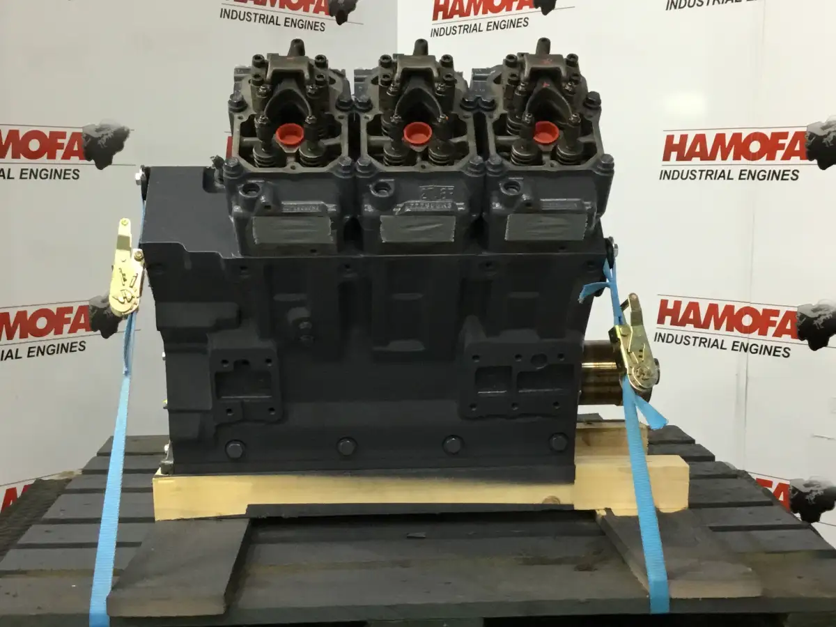 DEUTZ BF6M1015 RECONDITIONED LONGBLOCK - Picture 2