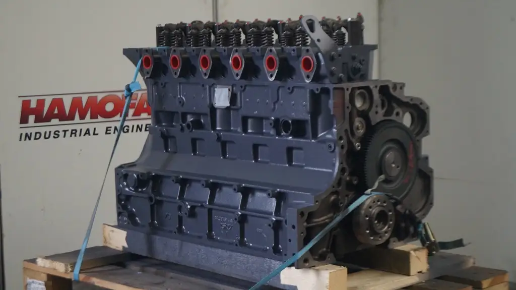 DEUTZ BF6M1013 LONGBLOCK RECONSTRUIDO - Imagen 3