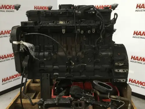 CUMMINS QSL9 CPL8647 RECONSTRUIDO - Imagen miniatura 3