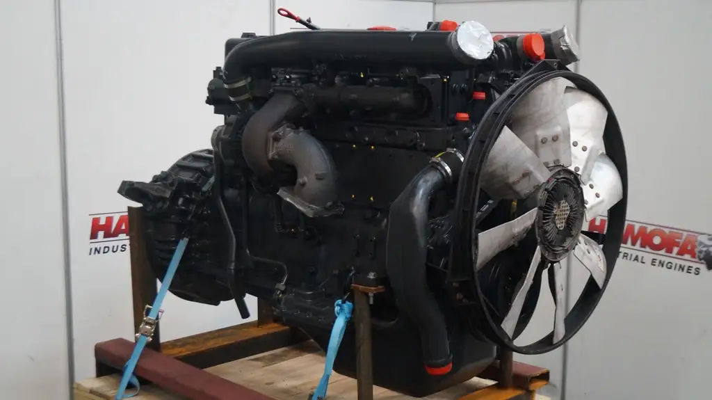 DAF WS 295 L GERECONDITIONEERD - Afbeelding 5
