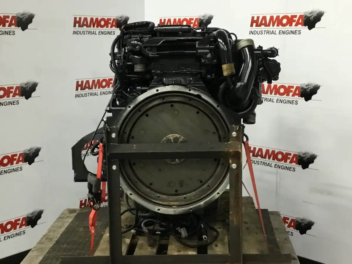 MAN D0836-LOH63 RECONDITIONED - Picture 2