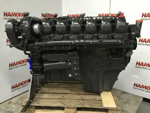 MERCEDES OM 424.901-400 ÜBERHOLT