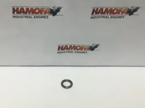 CUMMINS O-RING 4890929 NEU