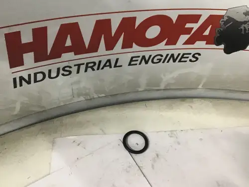 CATERPILLAR O-RING 109-3207 NUEVO