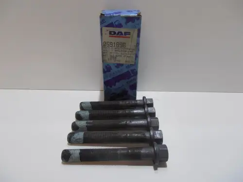 DAF BOUT 0591898 NIEUW
