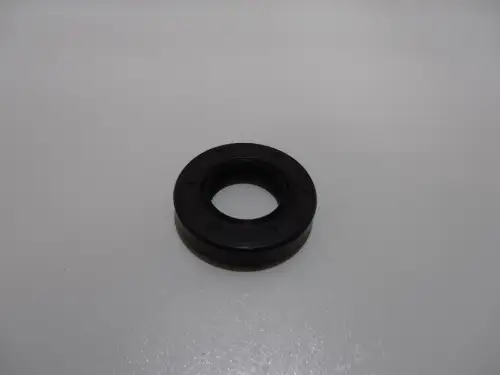 DAF JUNTAS DE BOMBA DE COMBUSTIBLE DAF 1160 254710CCP025 NUEVO
