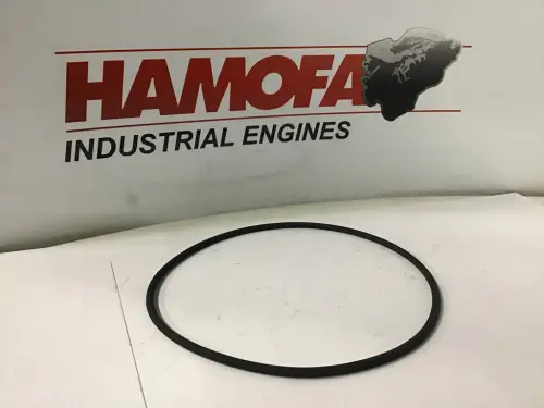 DEUTZ O-RING, MANCHA DE CILINDRO 01183742 NUEVO