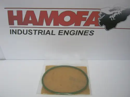 BOSCH O-RING 1 410 210 018 NUEVO