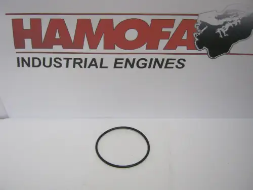 BOSCH O-RING / УПЛОТНЕНИЕ 1410210053 НОВОЕ - Миниатюра 1