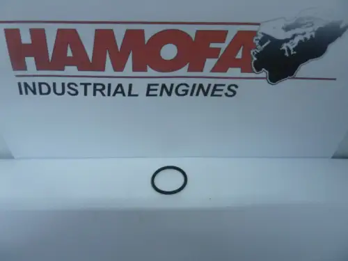 BOSCH O-RING 1 420 210 022 NUEVO