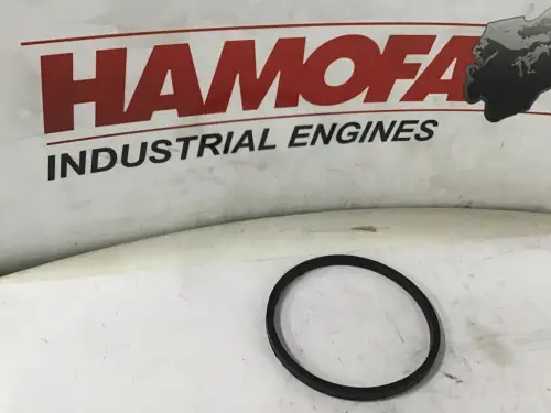 VOLVO O-RING, QUADRATISCH 469830 NEU
