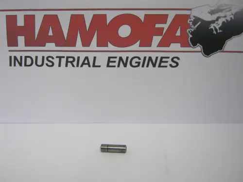 BOSCH PIN CILÍNDRICO 1 413 100 031 NUEVO