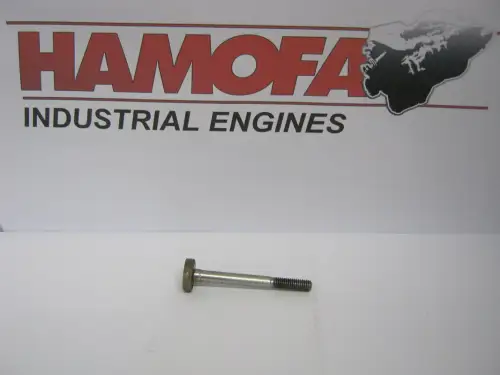 TORNILLO BOSCH 1413414009 NUEVO