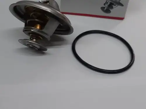 DAF THERMOSTAT 0646666 NIEUW
