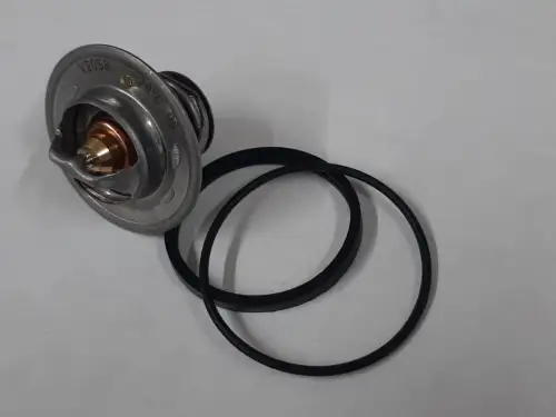 DAF TERMOSTATO FB17350 NUEVO