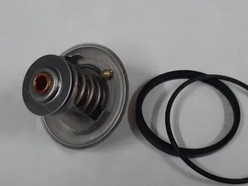DAF THERMOSTAAT FB17350 NIEUW - Miniatuur afbeelding 2