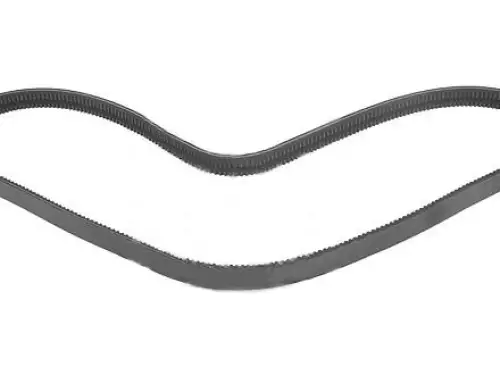 DAF POLY V-SNARE 2001804 NIEUW