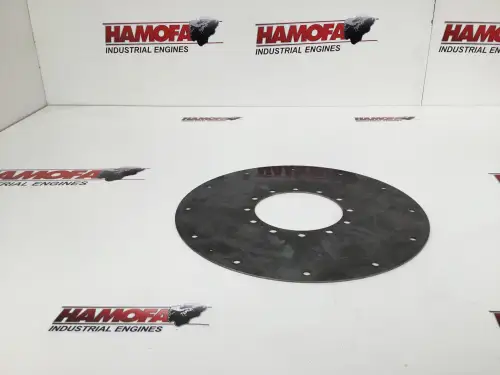 MAN THE CLUTCH PLATE 51023050009 USED