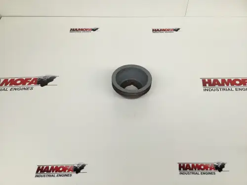 MAN POLEA V-BELT 51026010035 USADA