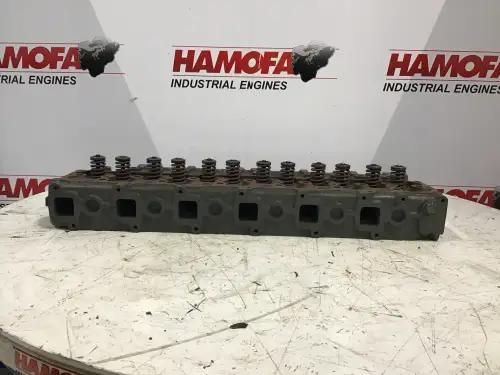 HAMOFA 9107 USADA