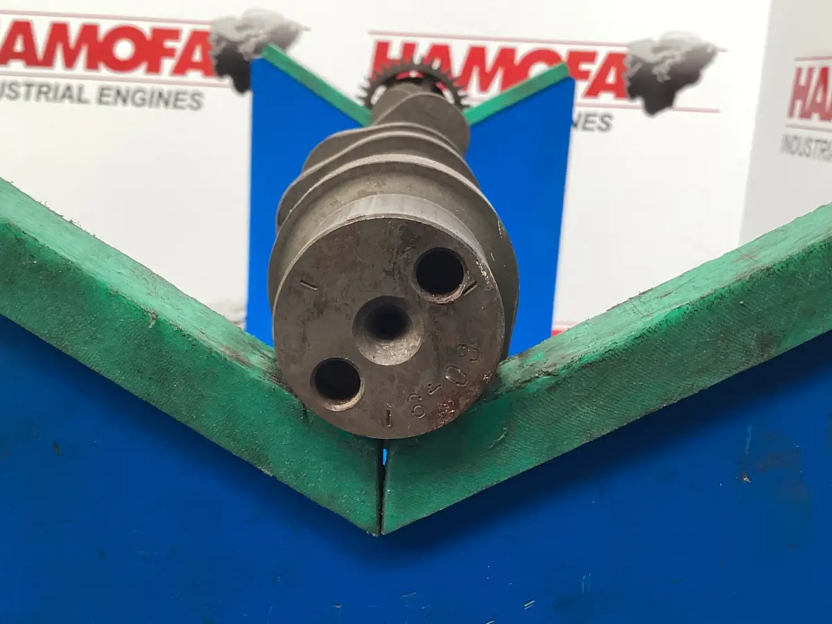 MAN 6049 USED - Picture 2