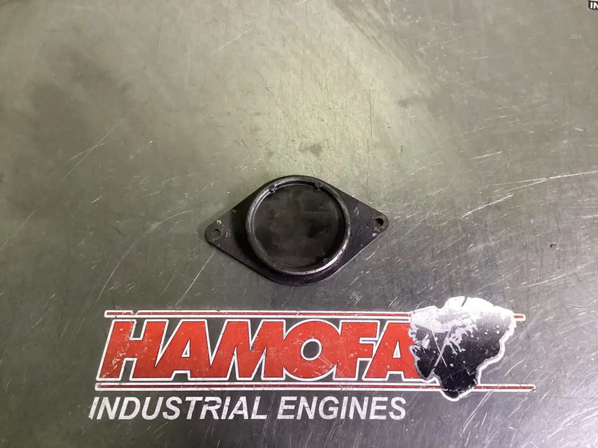 MERCEDES VALVE CAP A4700160033 USED - Picture 3