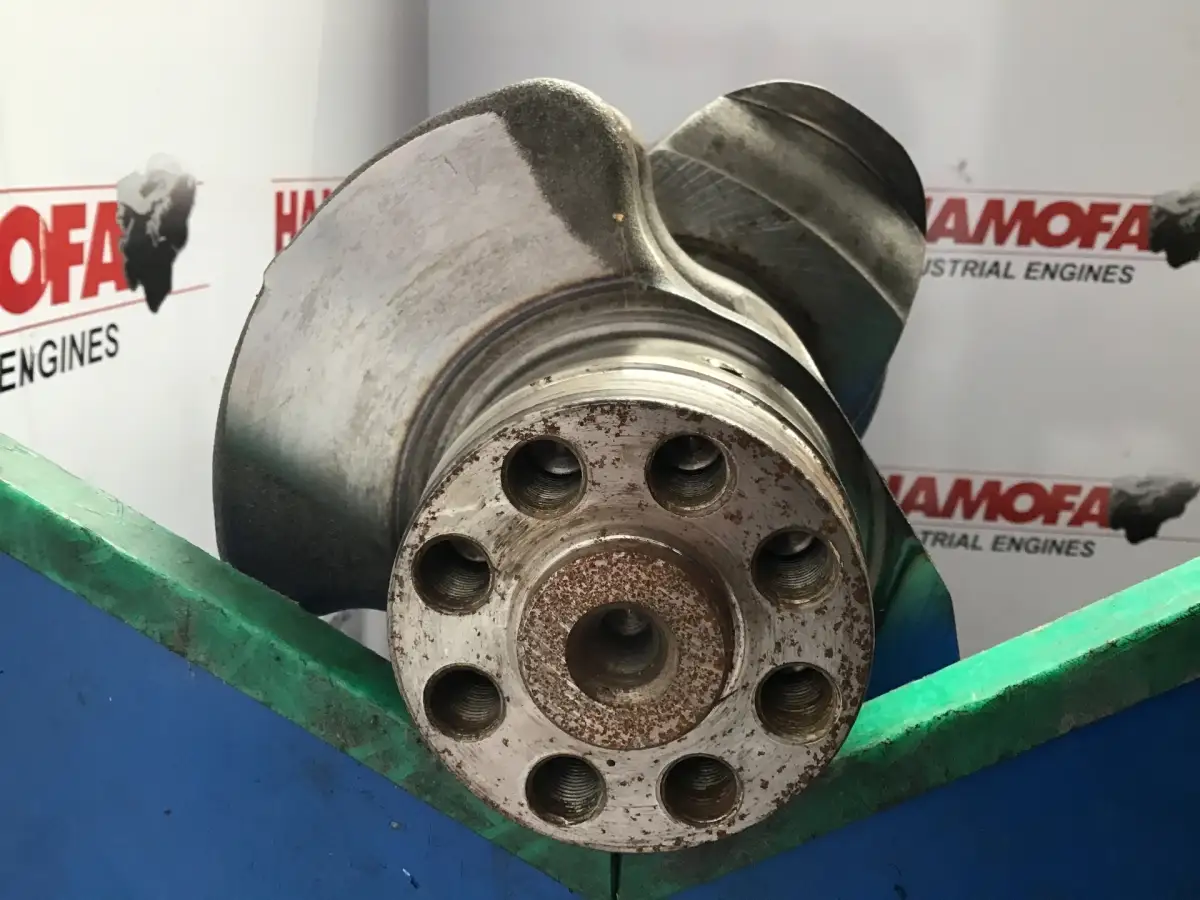 MAN 3125 USED - Picture 3