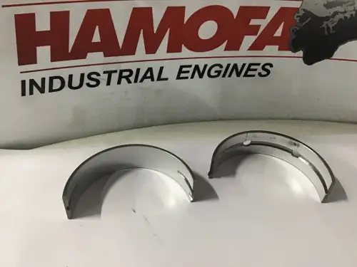 DEUTZ MAIN BEARING PAIR STD 02931062 NEW