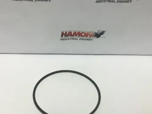 CUMMINS O-RING 4891300 NUEVO