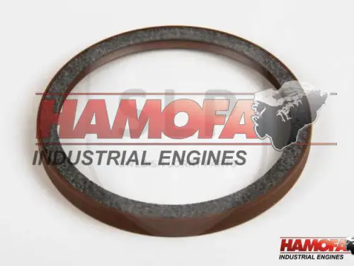 JUNTA DE CIGÜEÑAL TRASERA VOLVO 11700358 NUEVA