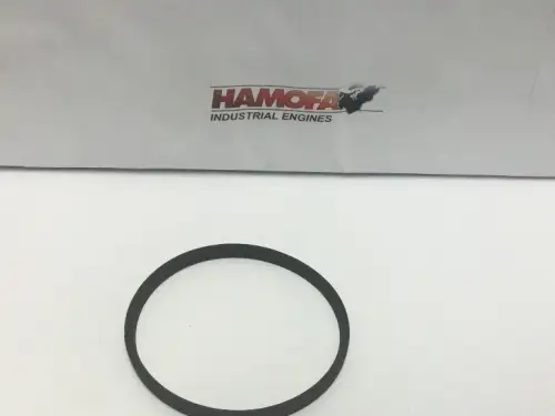 STEYR PLACA O-RING 161200070701 NUEVO