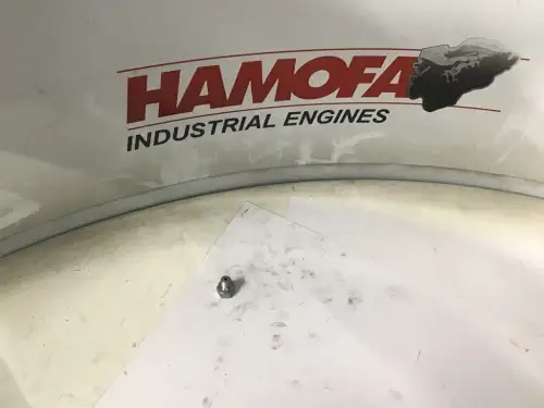 DAF ВЕНТИЛЬНЫЙ ВИНТ 247310 НОВЫЙ