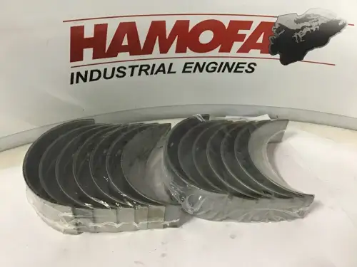 MAHLE HOOFDLAGERSET 0,25MM OVERMAAT 061 HS 10008 025 NIEUW