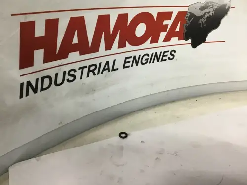 VOLKSWAGEN O-RING TUBO DE COMBUSTIBLE N90955703 NUEVO