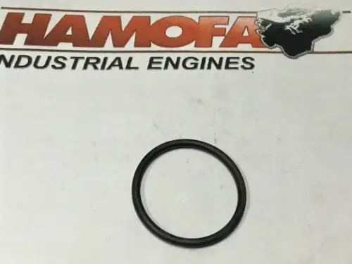 DEUTZ O-SEAL 01153891 NEU