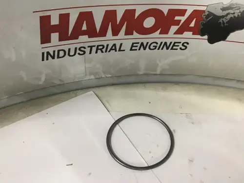 МЕРСЕДЕС O-RING A 019 997 54 45 НОВЫЙ - Миниатюра 1