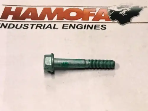 MAN HEXAGON BOLT 06.03216-8311 NEW