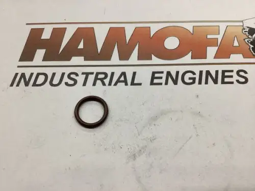 CUMMINS O-RING 4076420 NEU – Vorschaubild 1