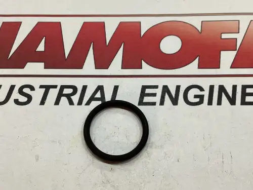 DAF O-RING 2186361 NEW