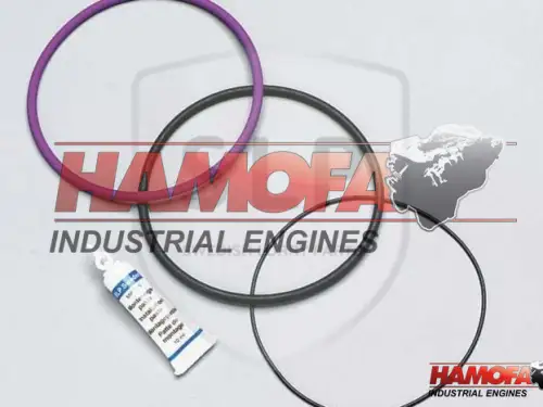 VOLVO JUEGO DE JUNTAS TWD1031VE 270788 NUEVO