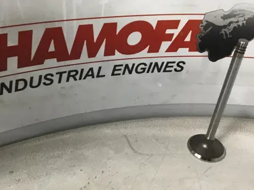 VALVE D'ÉCHAPPEMENT DEUTZ 04290025 NOUVELLE