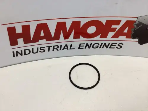 MAN O-RING 06.56343-1213 NUEVO