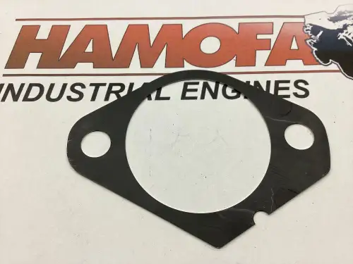 JUNTA DE BOMBA DE UNIDAD DEUTZ 0,40MM GRUESA 04287619 NUEVA