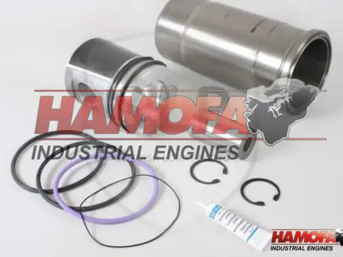 VOLVO ZYLINDER KITS 276900 NEU