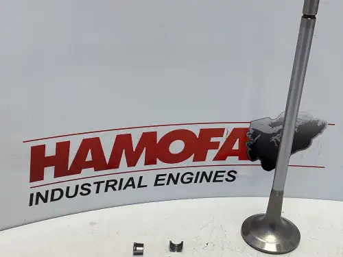 CUMMINS INTAKE VALVE 4016438 NEW - Thumb image 1