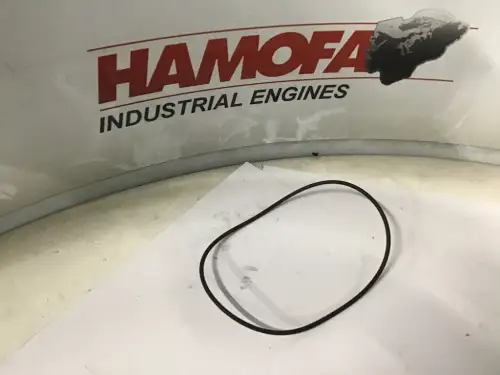 DAF O RING POMPE À CARBURANT / CACHE AVANT 277048 NOUVEAU