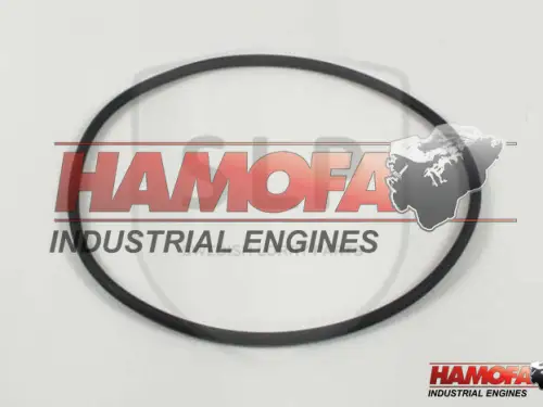 VOLVO O-RING 3832906 NUEVO