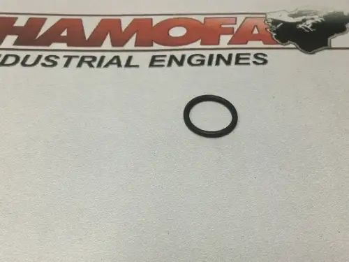CUMMINS SEAL, O RING 3867641 NIEUW - Miniatuur afbeelding 1
