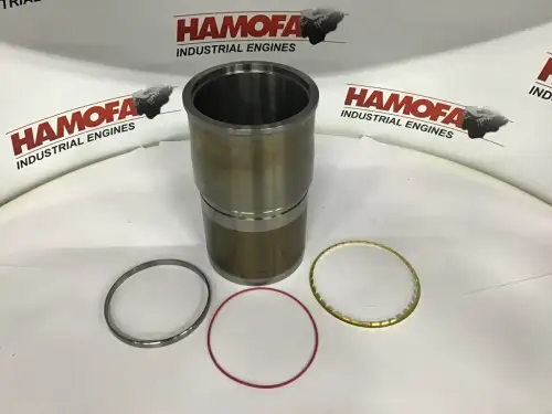 CUMMINS CYLINDER LINER INC. O-RINGS 4376168 NEW - Thumb image 1