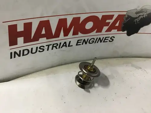 DEUTZ TERMOSTATO 04198786 NUEVO
